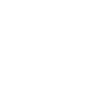 Scribble and Save logo